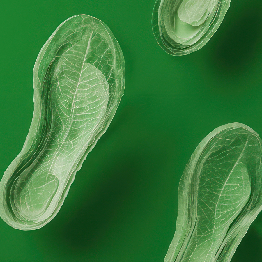 PM3 PODO ET REFLEXES